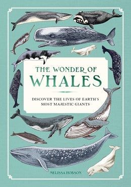 Wonder of Whales