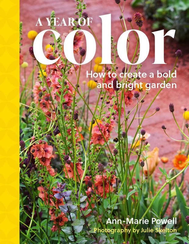 A Year of Color: How to create a bold and bright garden