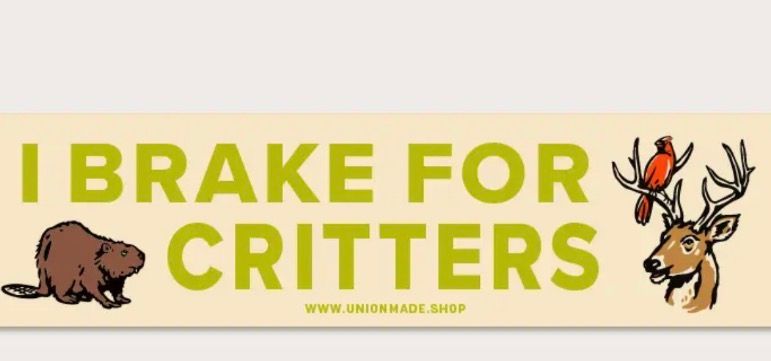I Brake For Critters Bumpersticker