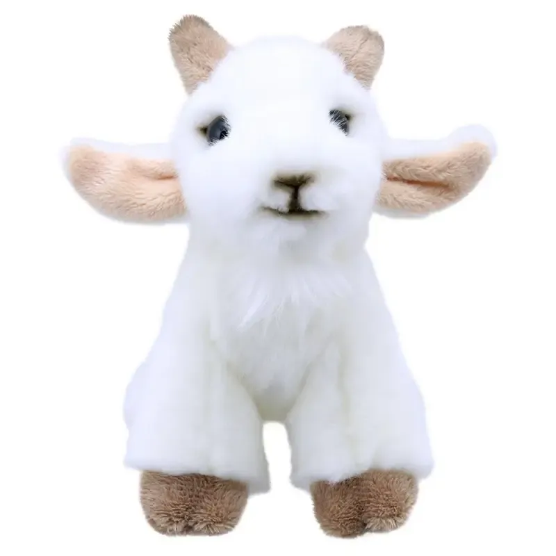 Wilberry Mini Goat