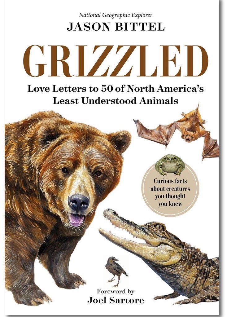 Grizzled 