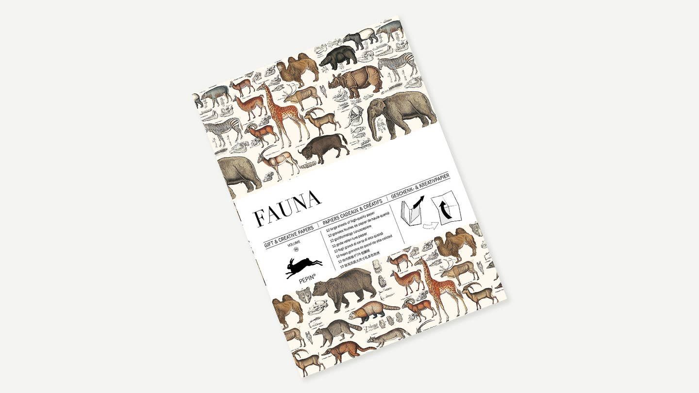 Fauna Gift &amp; Creative Paper Book
