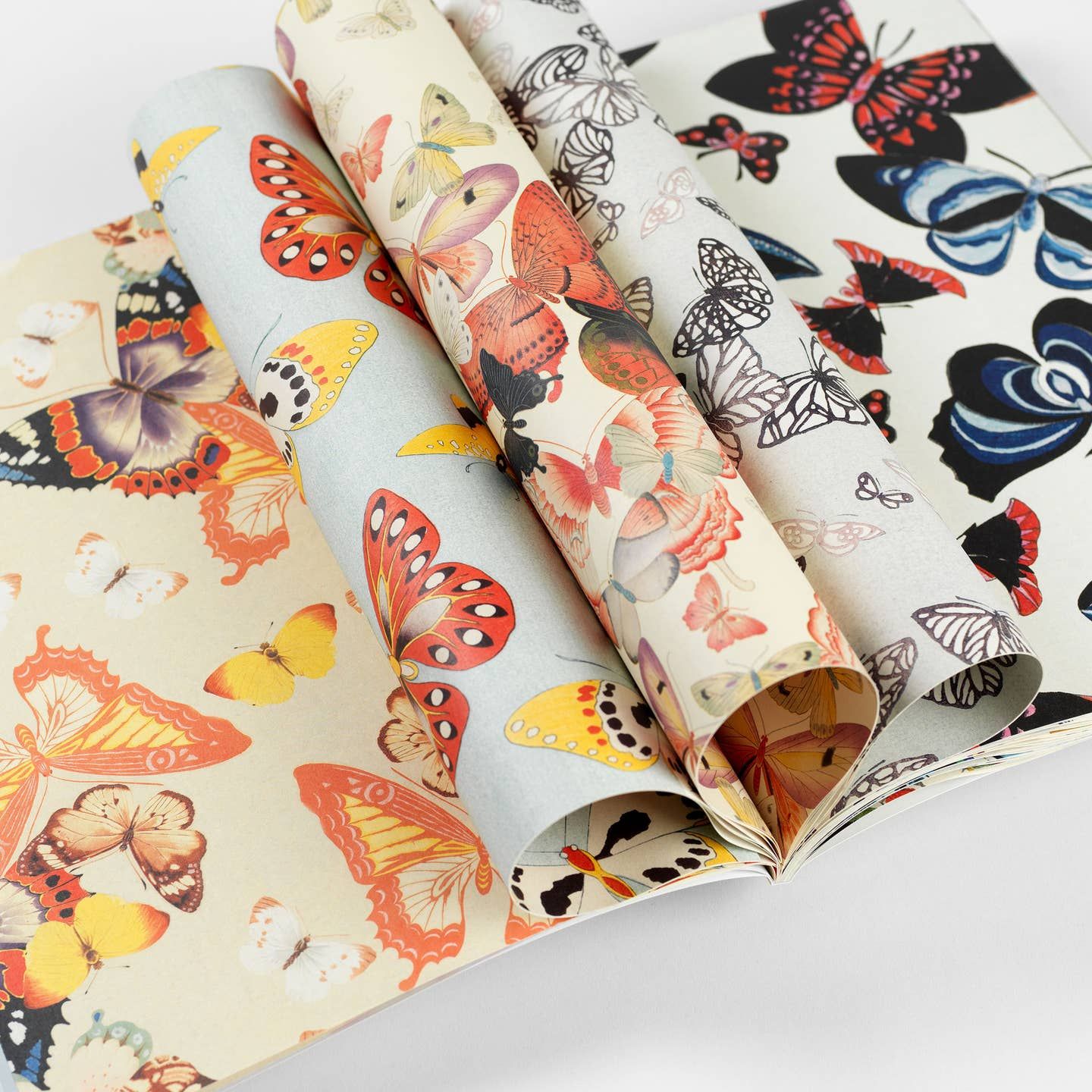 Japanese Butterflies Gift and Creative Paper