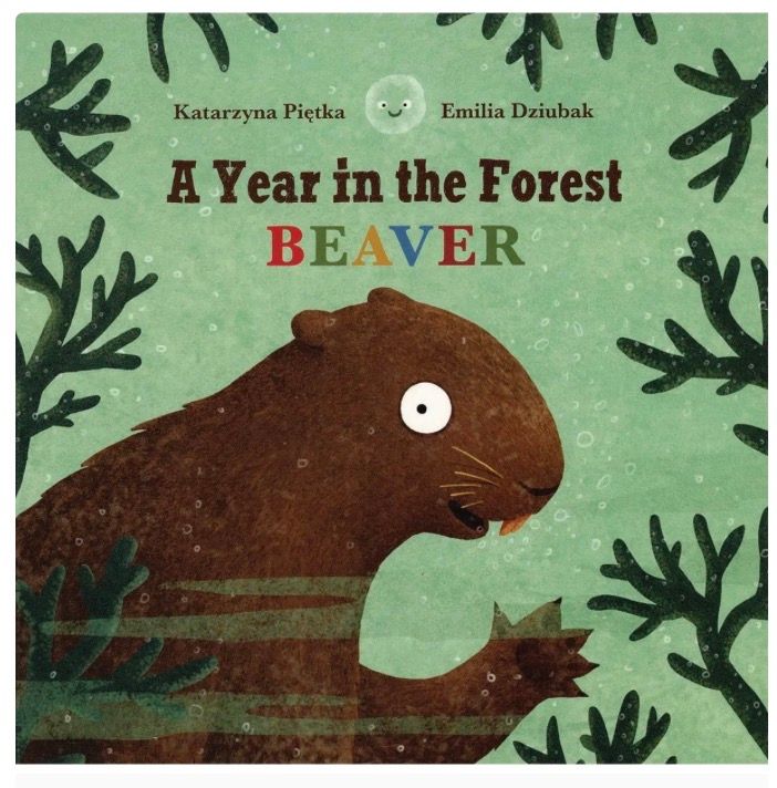 Year In The Forest: With Beaver