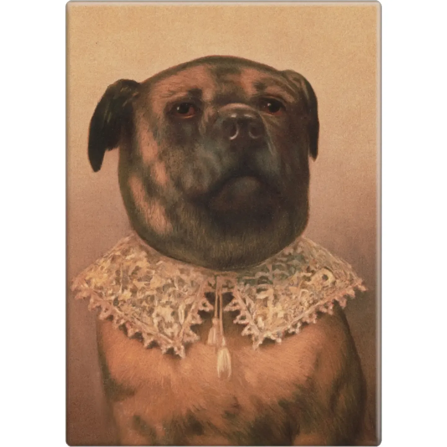 1878 Victorian Dog Vintage Retro Magnet