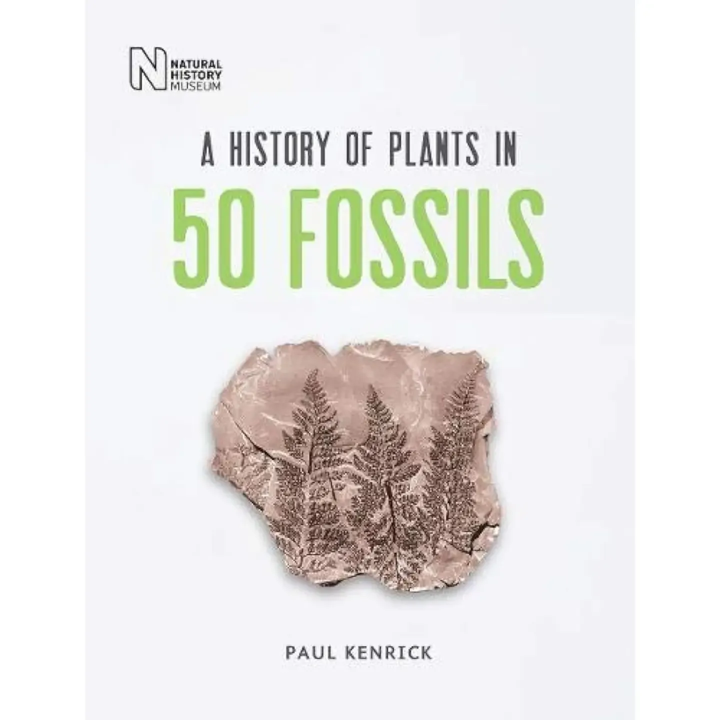 A History Of Plants In 50 Fossils