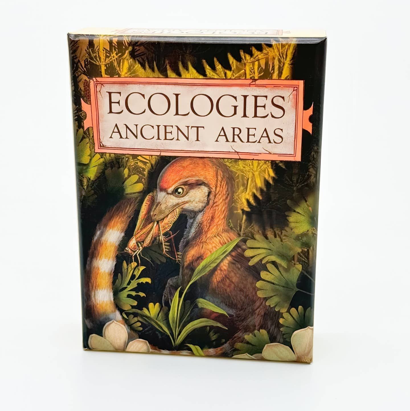 Ecologies: Ancient Areas
