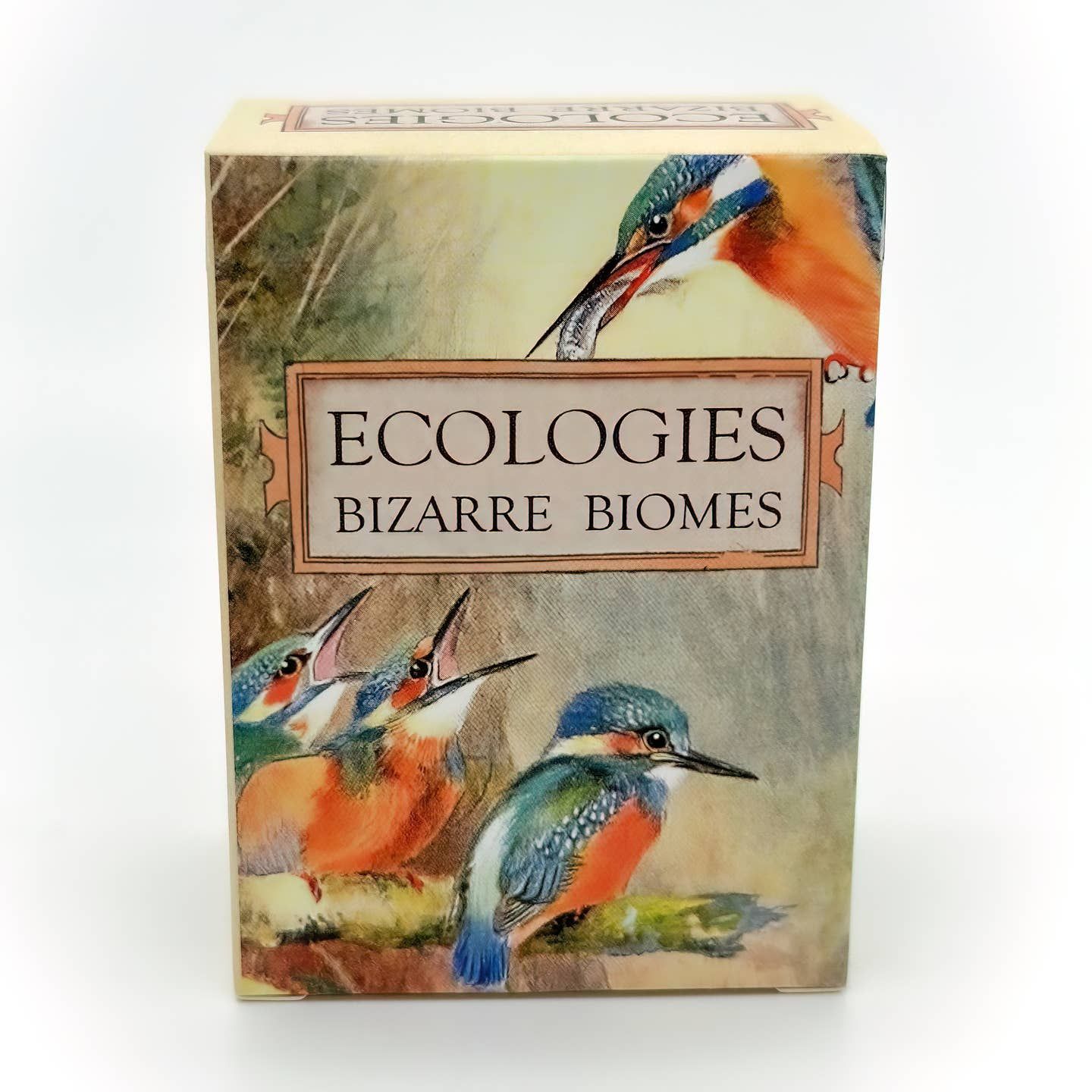 Ecologies: Bizarre Biomes