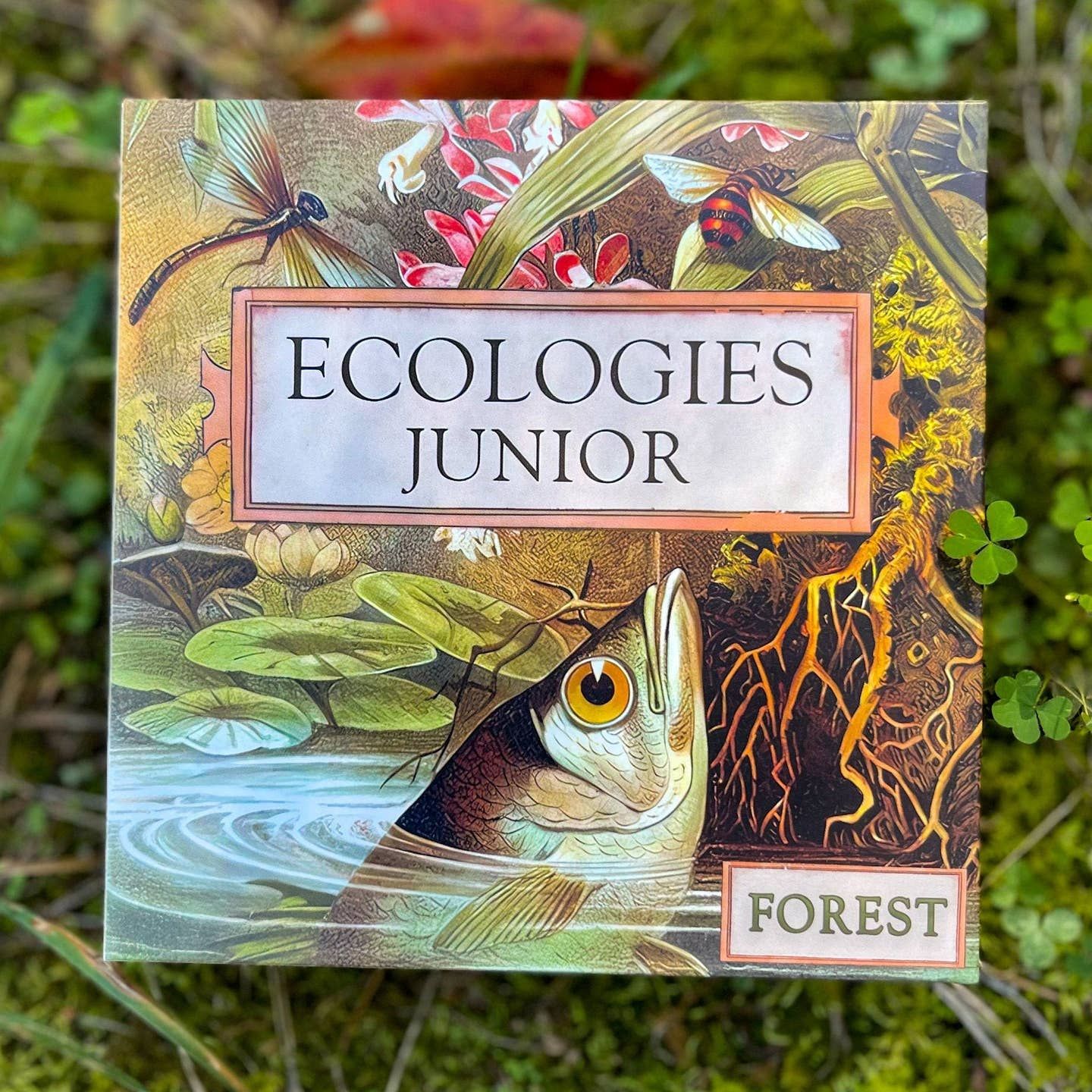 Ecologies Junior: Forest