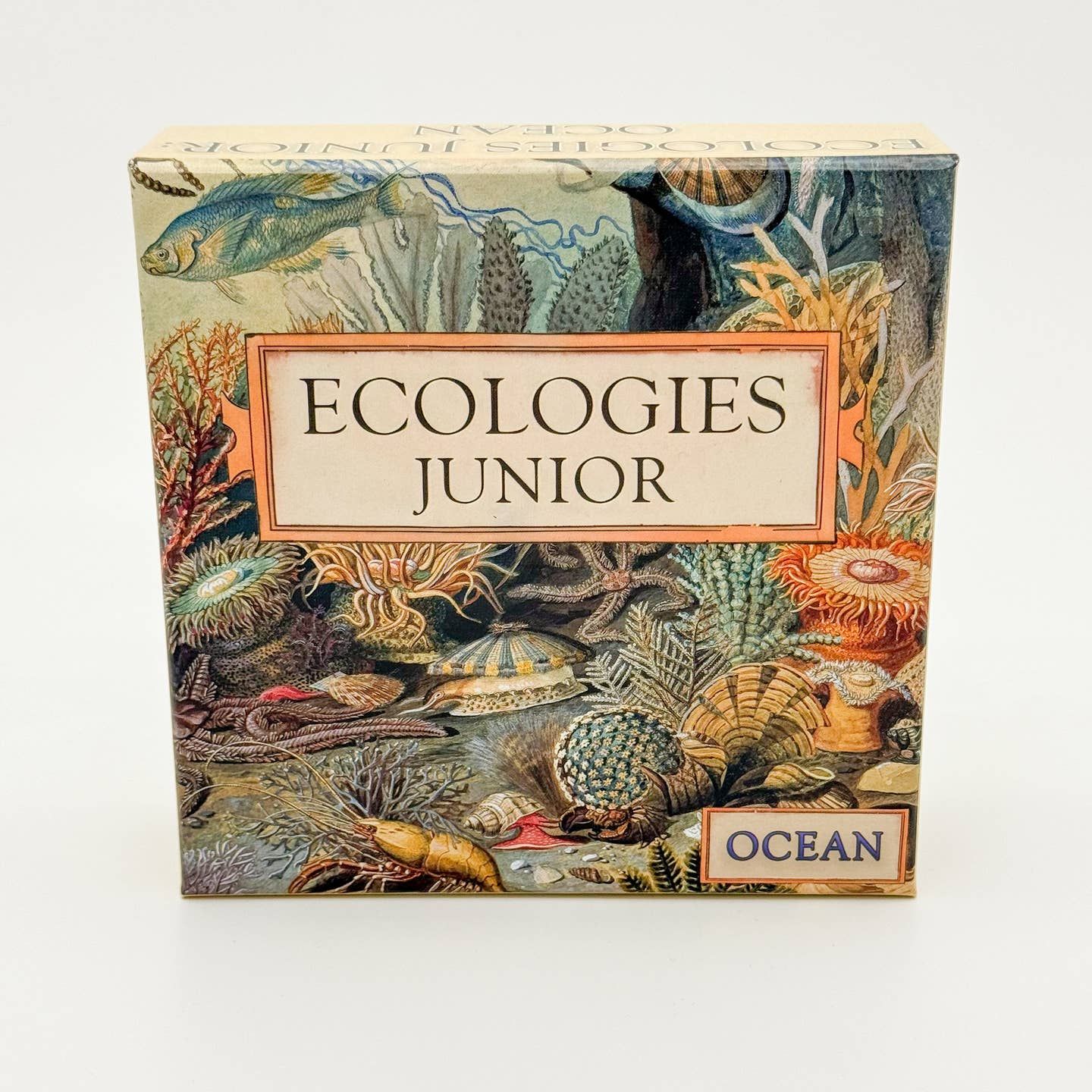 Ecologies Junior: Ocean