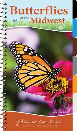 Butterflies of the Midwest Quick Guide