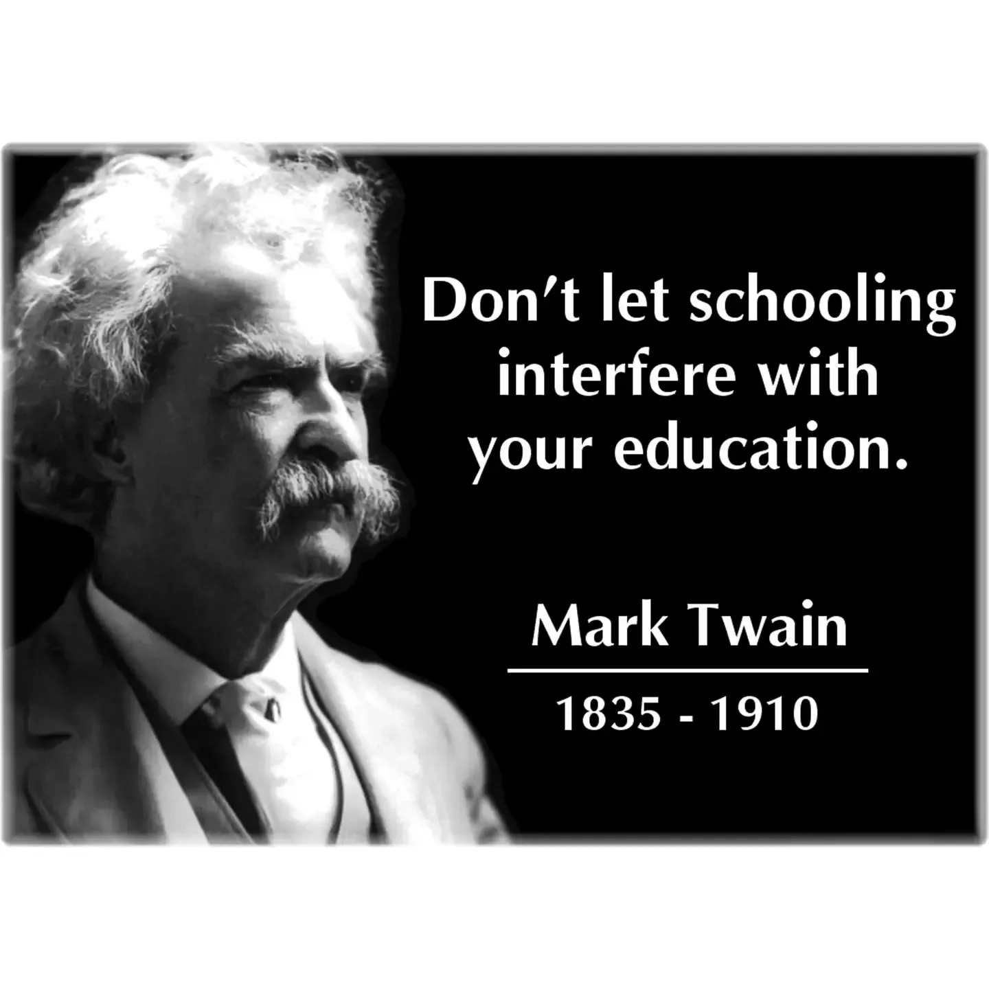 Don't Let Schooling Interfere Mark Twain Magnet
