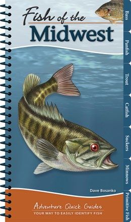 Fish of the Midwest Quick Guide