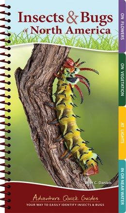Insects &amp; Bugs of North America