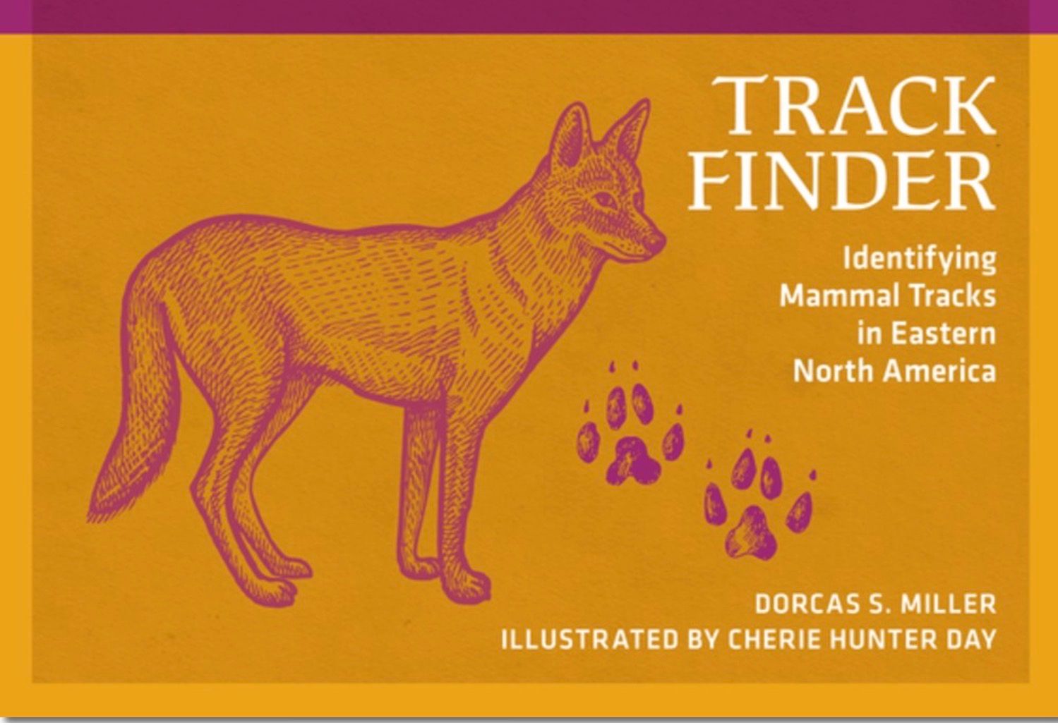 Track Finder