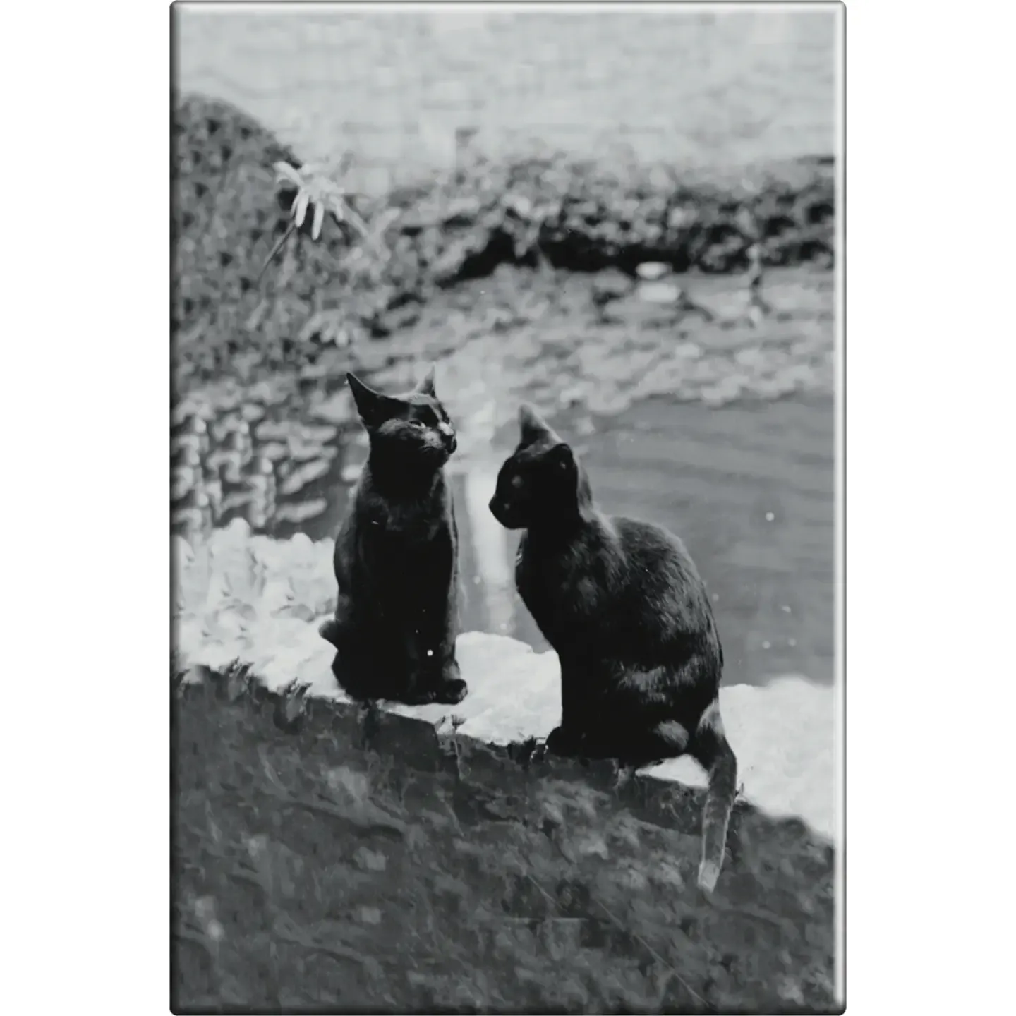 Johnston Cats Hermin Vermin Magnet