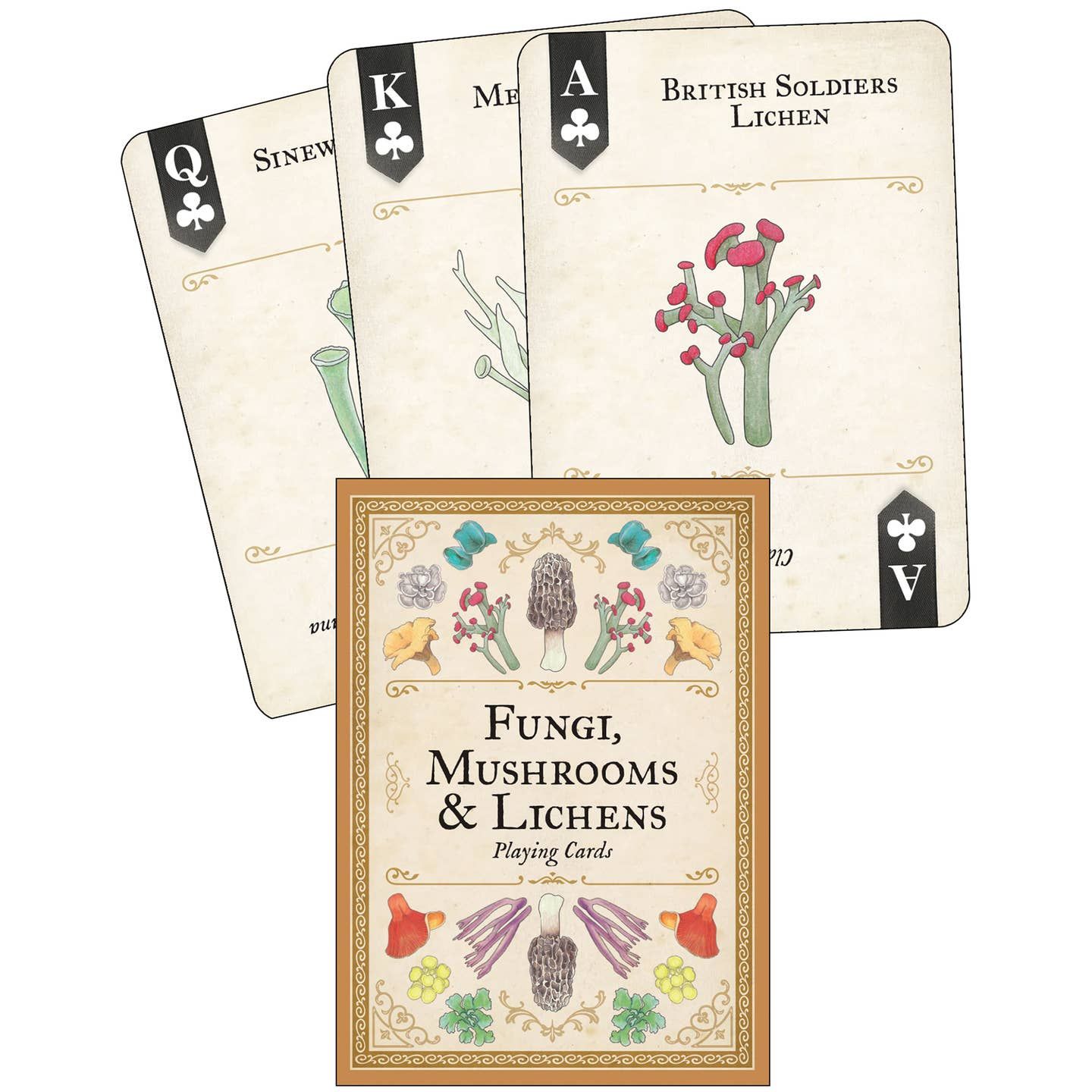 Fungi, Mushrooms &amp; Lichens Playing Cards