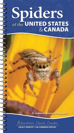 Spiders of the United States &amp; Canada Quick Guide