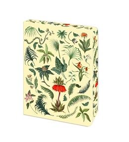 Fern Journal