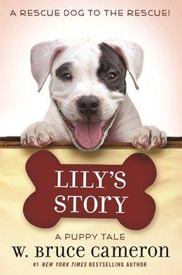 Lily’s Story - A Puppy Tale