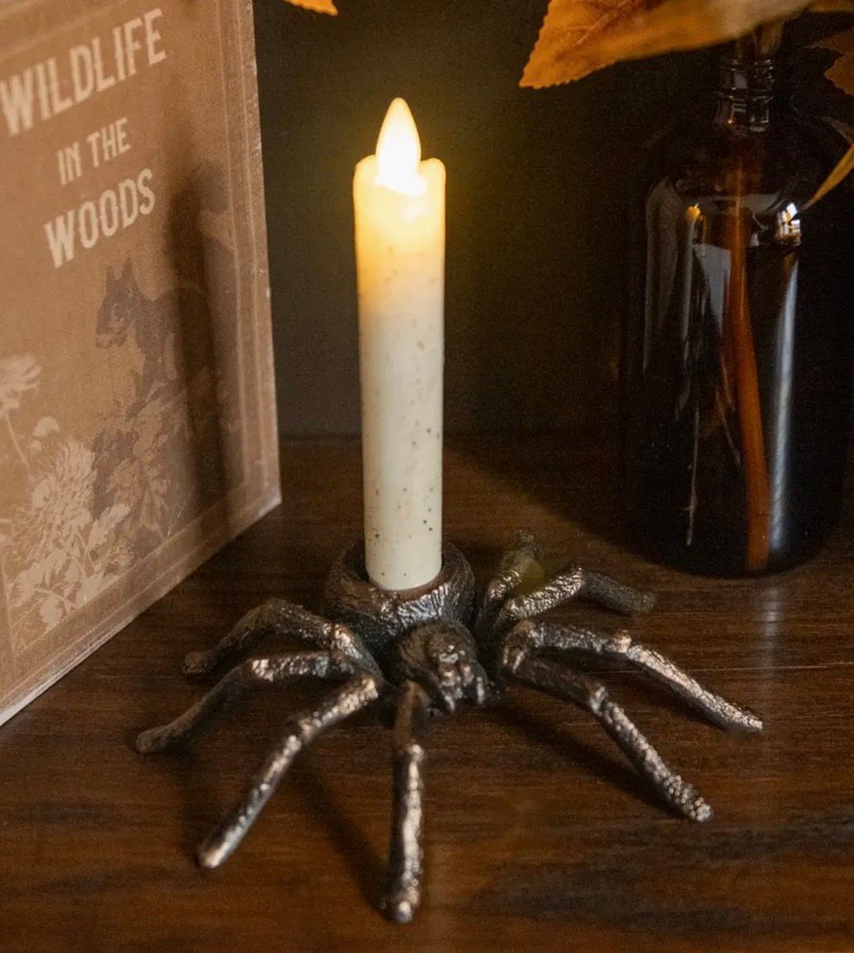 Tarantula Taper Candle Holder