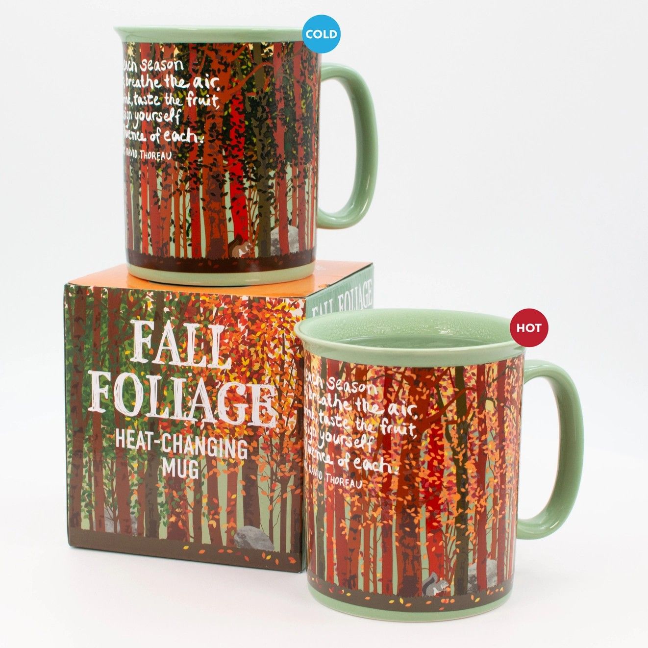 Fall Foliage Mug