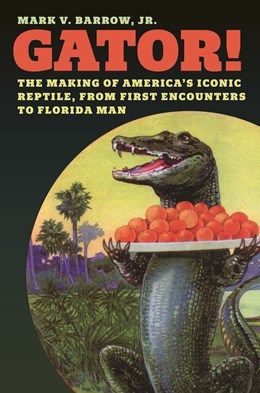 Gator