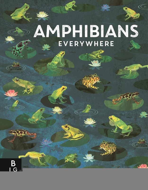 Amphibians Everywhere