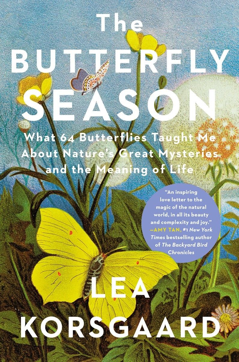 Butterfly Season