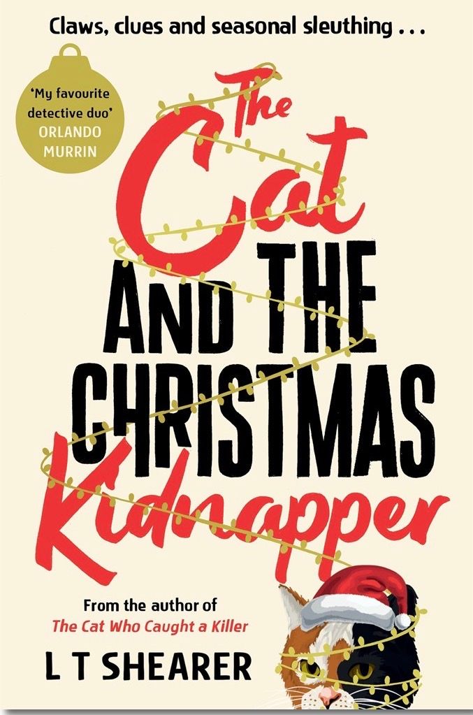 Cat And The Christmas Kidnapper