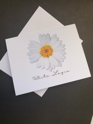 White Layia Postcard