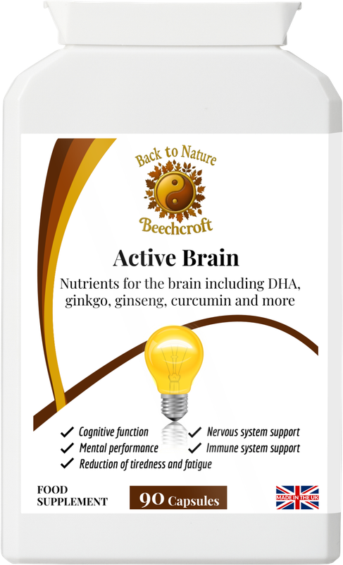 Active Brain