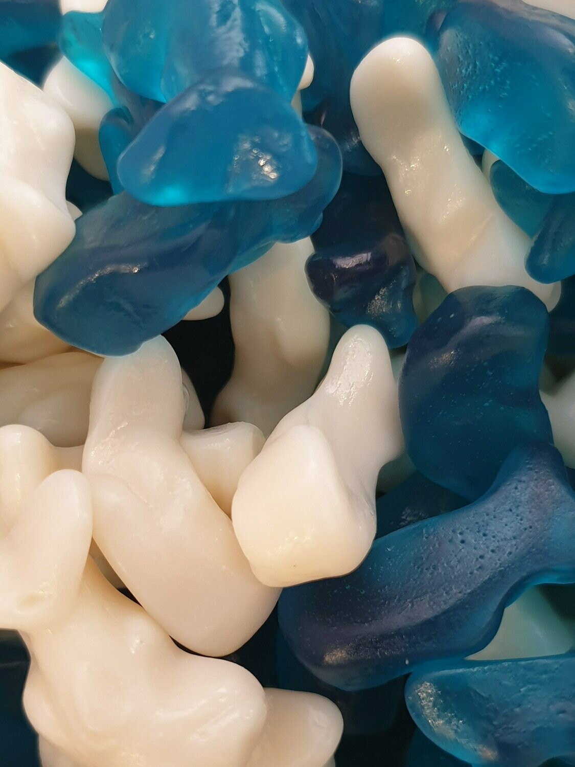 Baby Dolphins