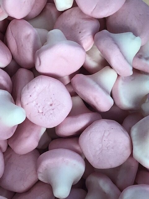 Foam Mushrooms