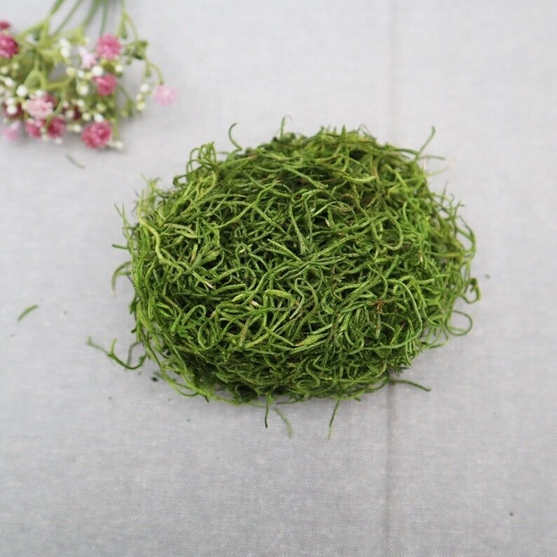 Tillandsia Moos 30 gramm, Bastelbedarf