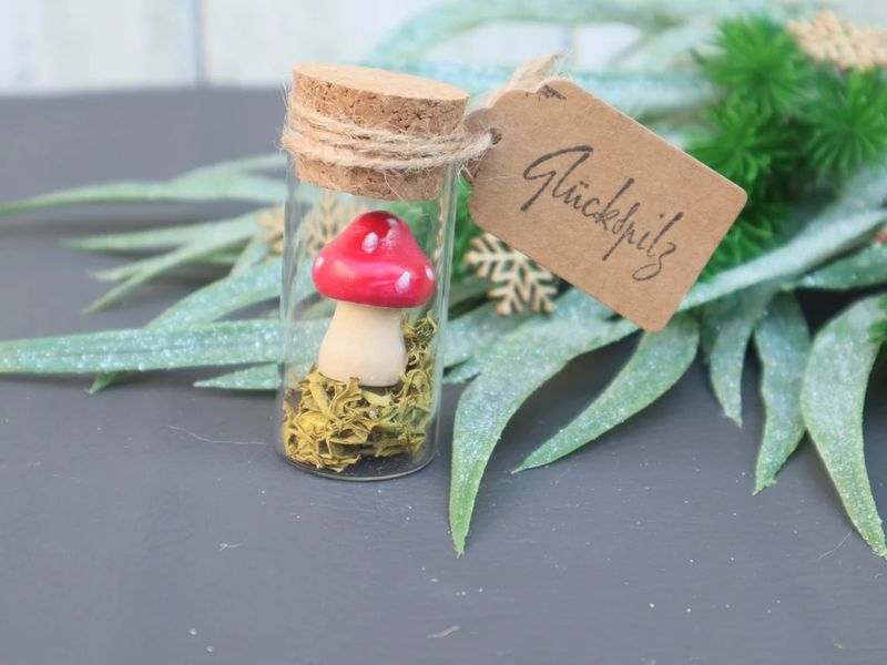 Kleine Geschenk Idee Glückspilz Herbst Mitbringsel