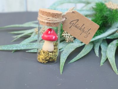 Kleine Geschenk Idee Glückspilz Herbst Mitbringsel