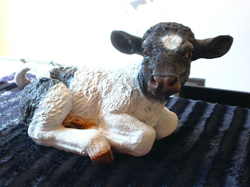 Deko Figur Kuh Kalb liegend Garten Terrasse groß naturgetreu Deko Figur Kuh Kalb liegend Garten Terrasse groß naturgetreu