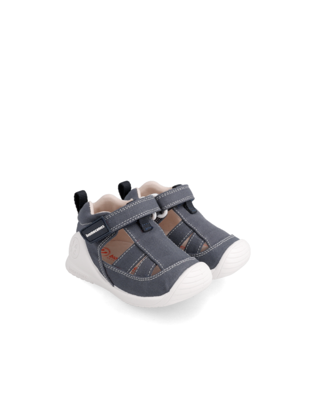 Biomecanics Canvas 222186-A