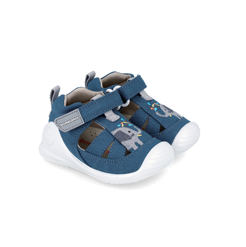 Biomecanics Canvas 242183-A