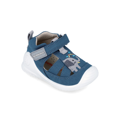 Biomecanics Canvas 242183-A