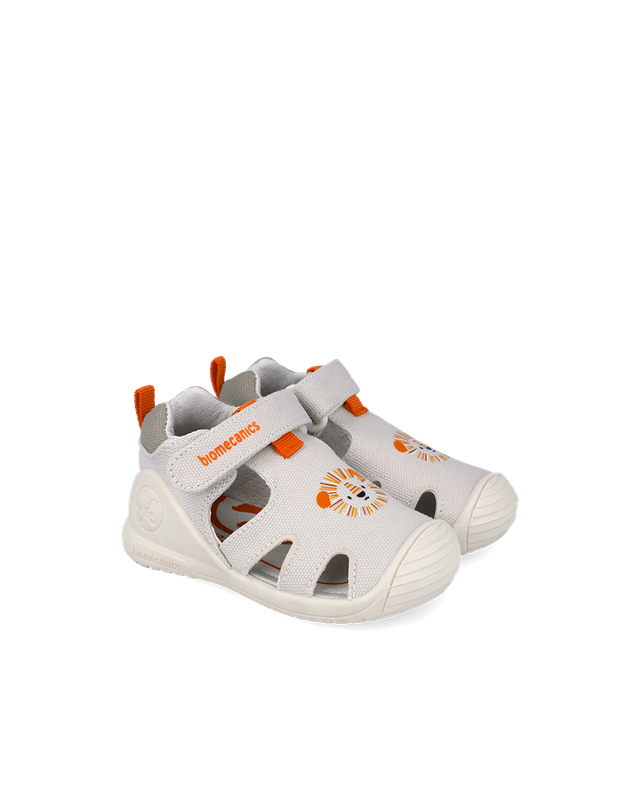 Biomecanics Canvas 262185