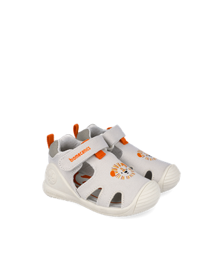 Biomecanics Canvas 262185