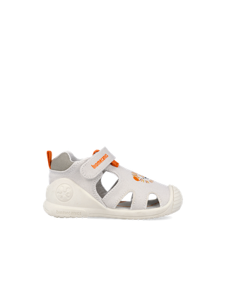 Biomecanics Canvas 262185