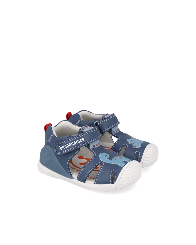 Biomecanics 262126