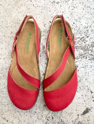 El Naturalista 5813 Panglao