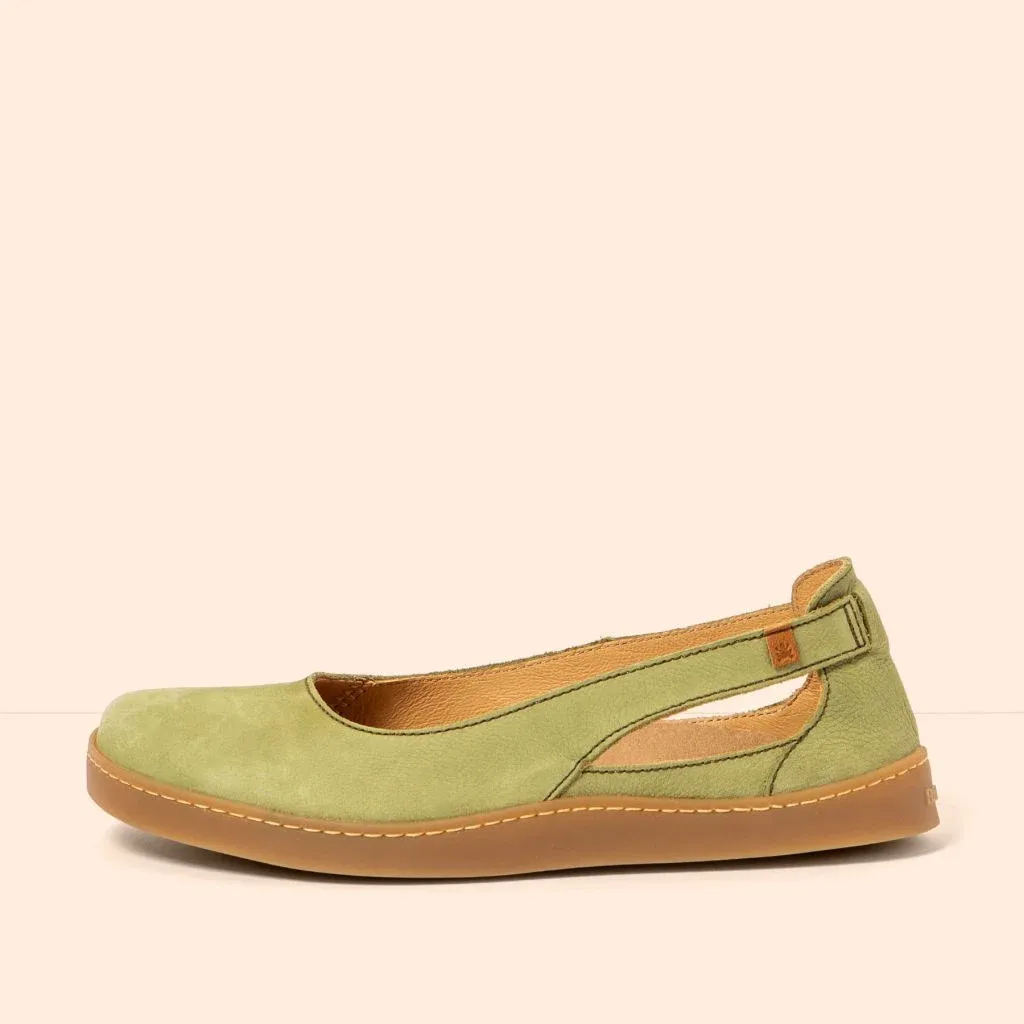 El Naturalista 5906 Origen