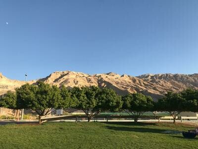 Oase Al Ain - NEU