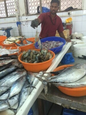 Fujairah - NEU