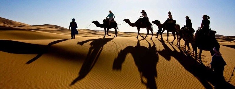 Camel Safari in Ras Al Khaimah (Red Desert)